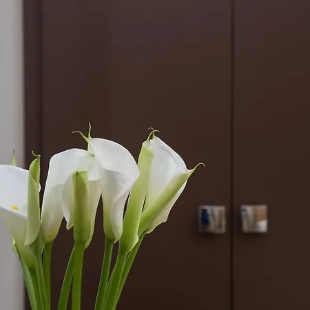 فندق مبيت وإفطار Palazzo Perla 3*